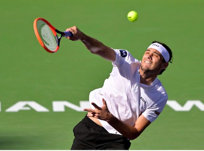 的适应能力 的适应能力